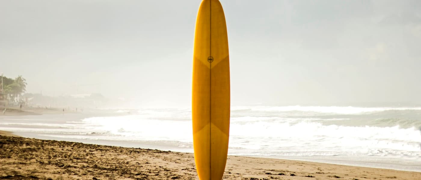 Historical context of lavender marriages